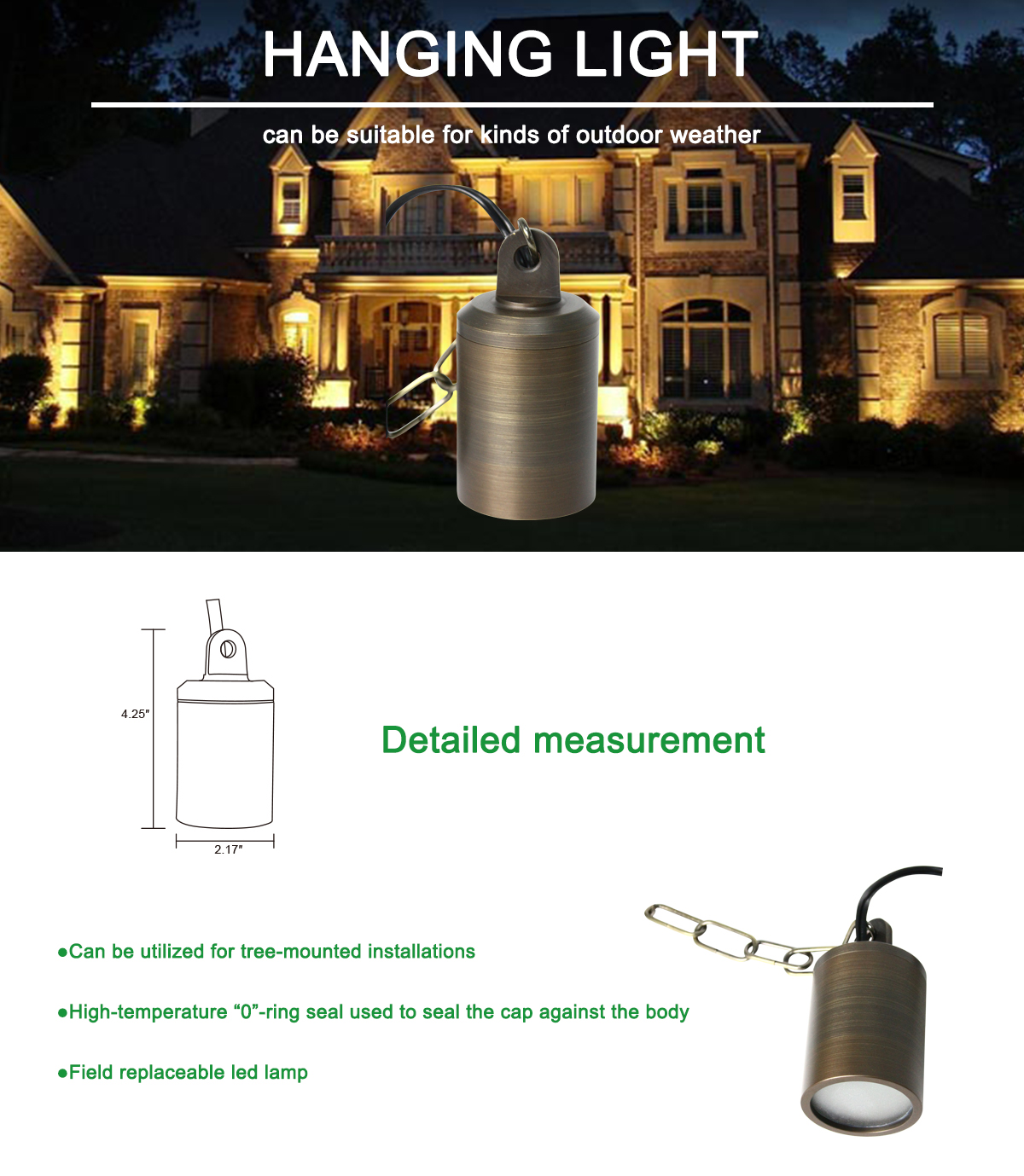 بنك الصور (6)